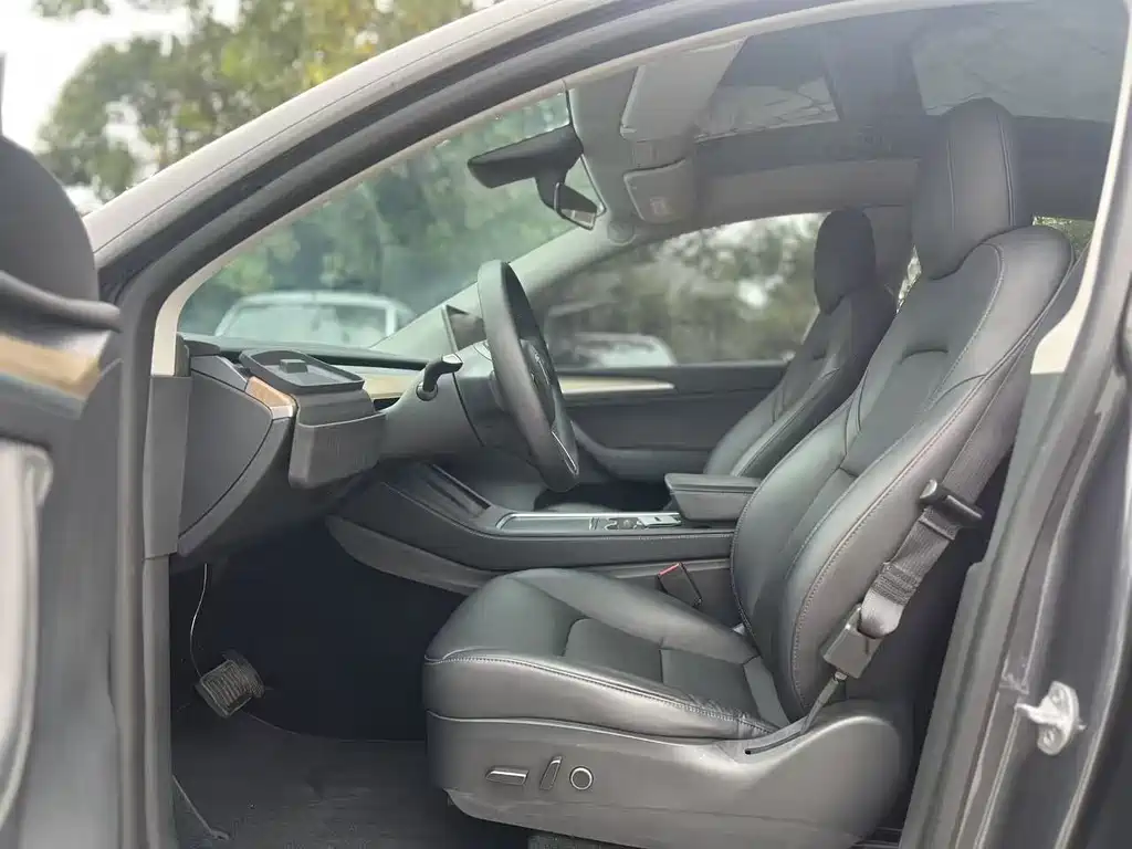 Tesla Model Y — миниатюра 5