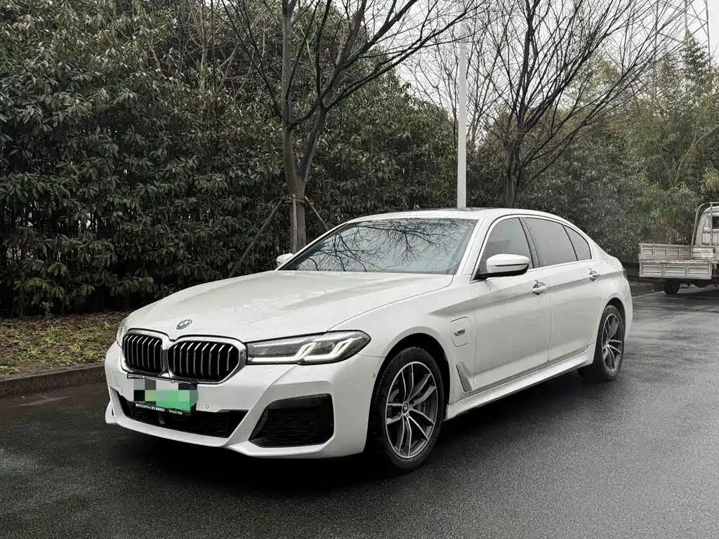 BMW 5 SERIES NEW ENERGY