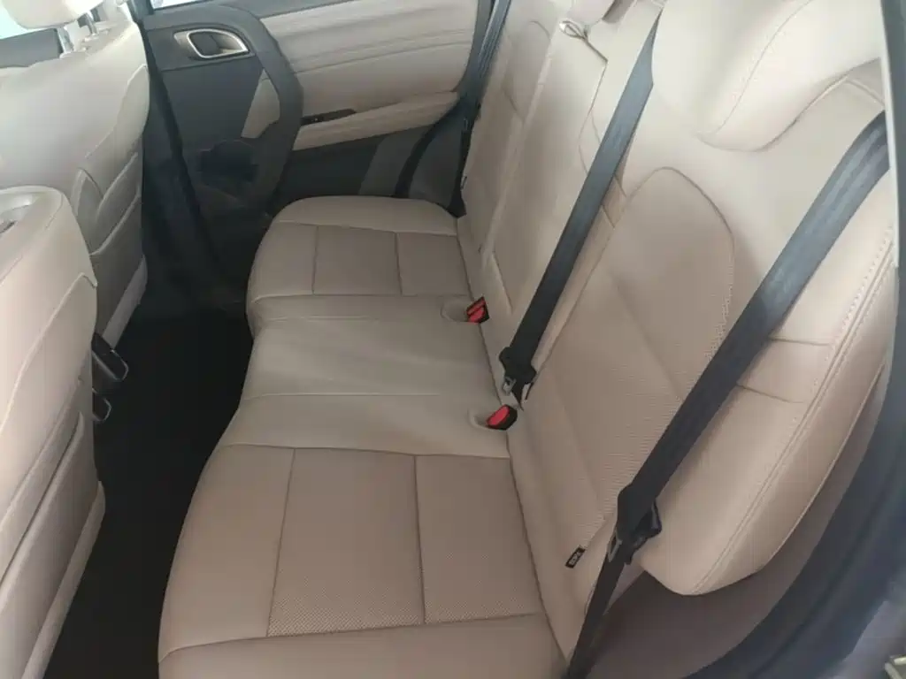 Haval Big Dog — миниатюра 17