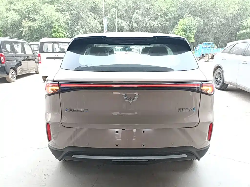 Wuling BinguoS S 2025 325km Premium