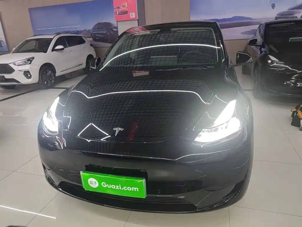 Tesla Model Y — миниатюра 3