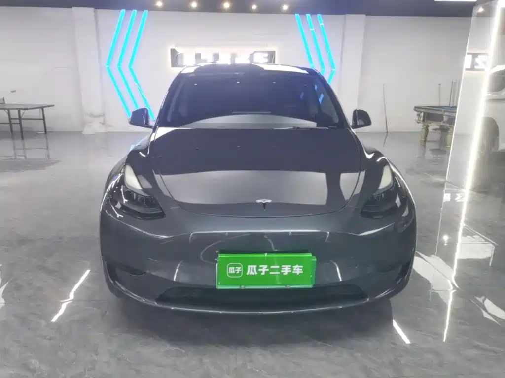 Tesla Model Y — миниатюра 3