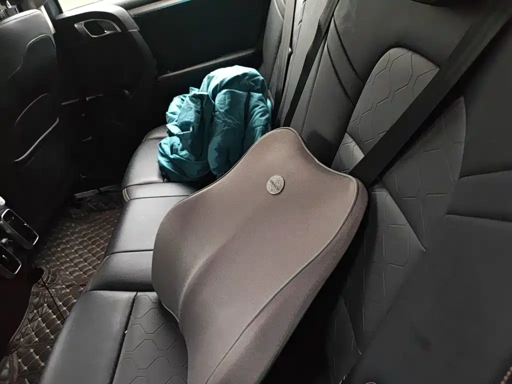 Haval Big Dog — миниатюра 15