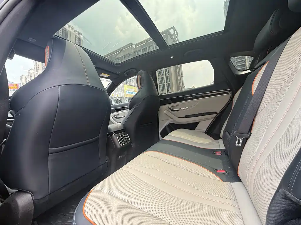 BYD PLUS New Energy — миниатюра 11