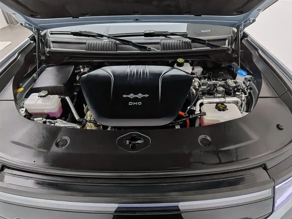 FANG CHENG BAO LEOPARD 8