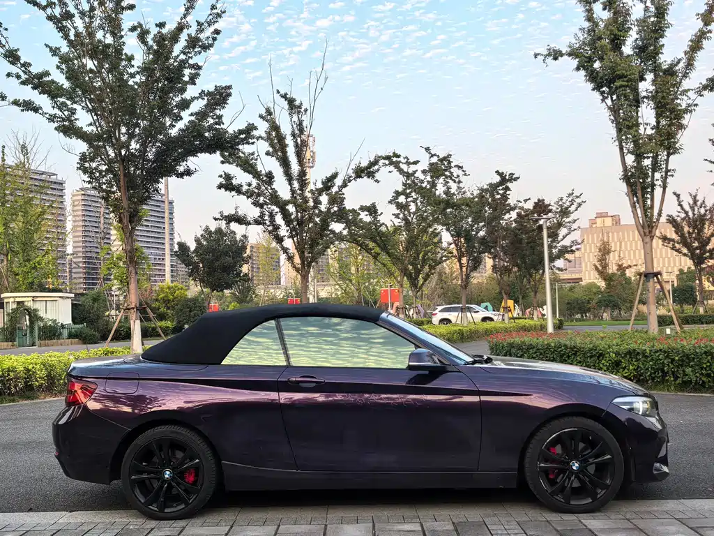 BMW 2 Series (Import) — миниатюра 8