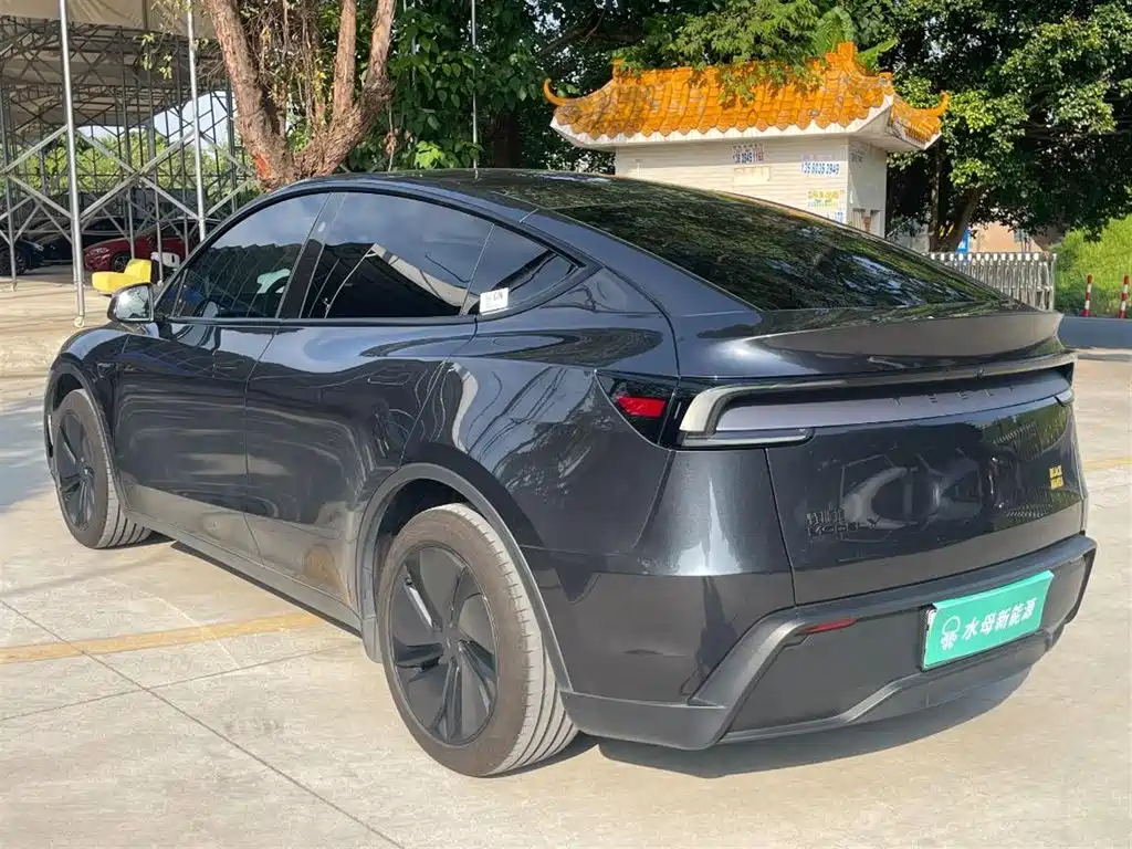 Tesla Model Y — миниатюра 6