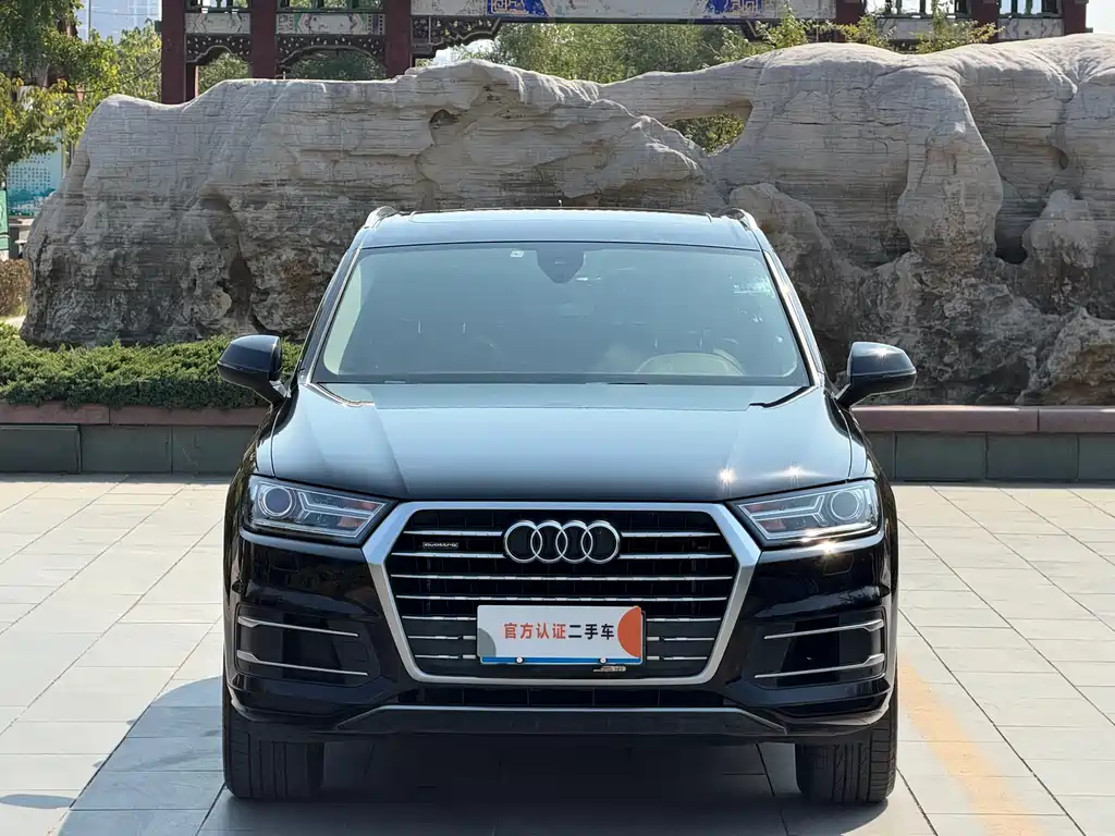 Audi Q7 — миниатюра 2