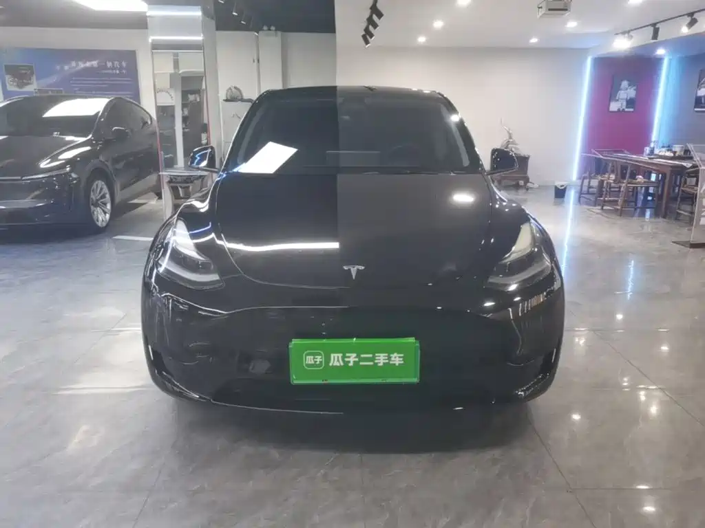 Tesla Model Y — миниатюра 3