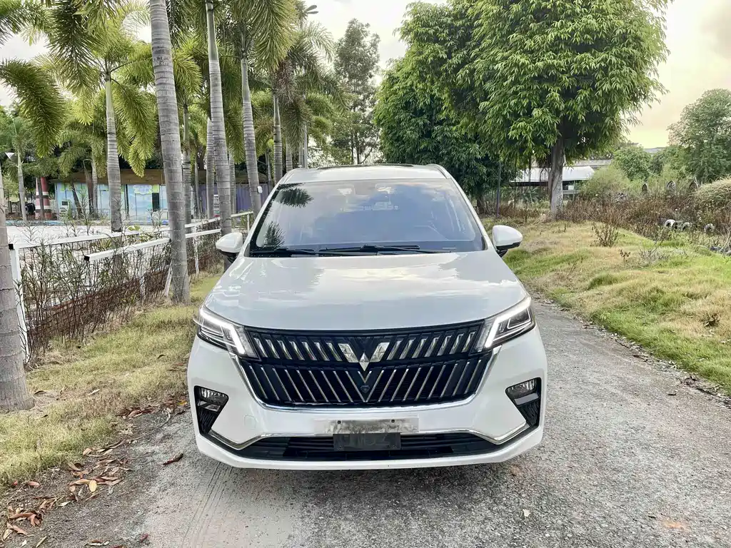 Wuling Jiachen — миниатюра 2