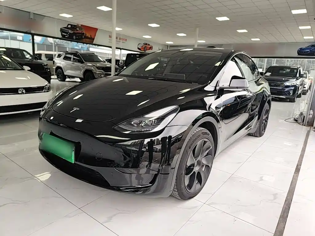 Tesla Model Y — миниатюра 2