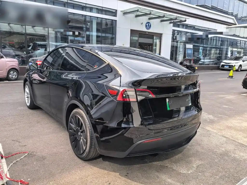 Tesla Model Y — миниатюра 5