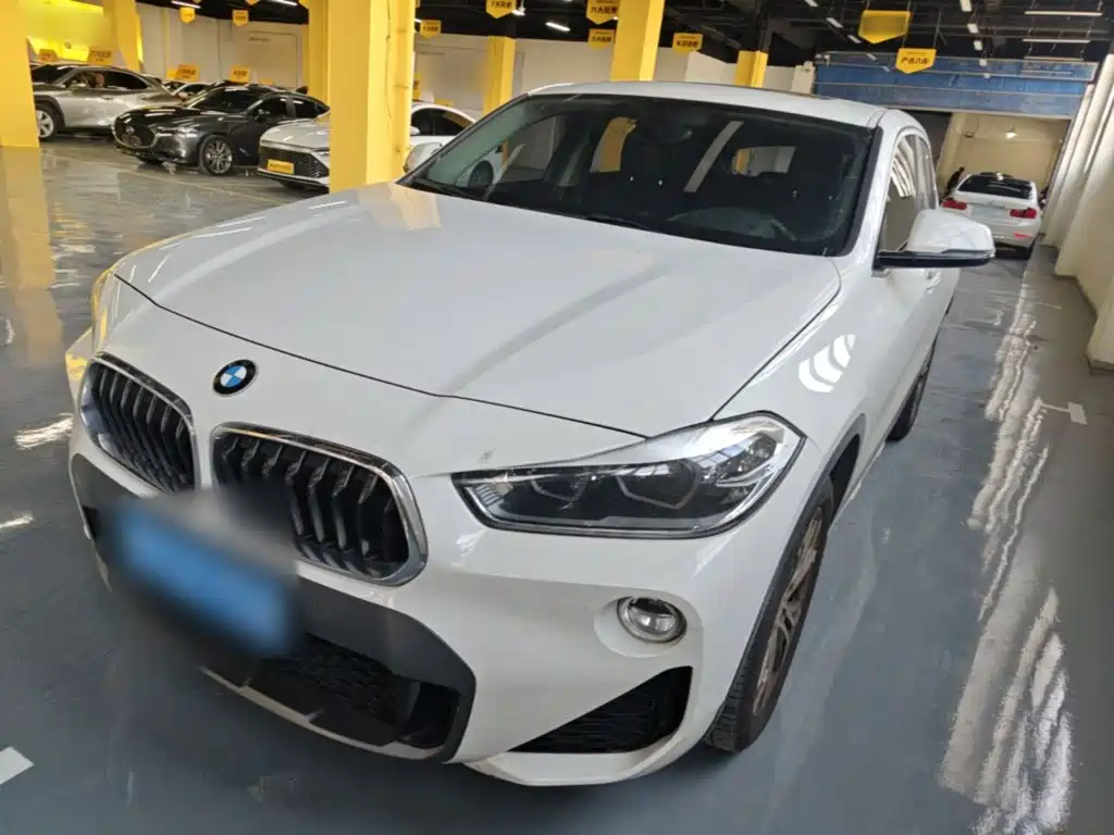 BMW X2 (Import) — миниатюра 2
