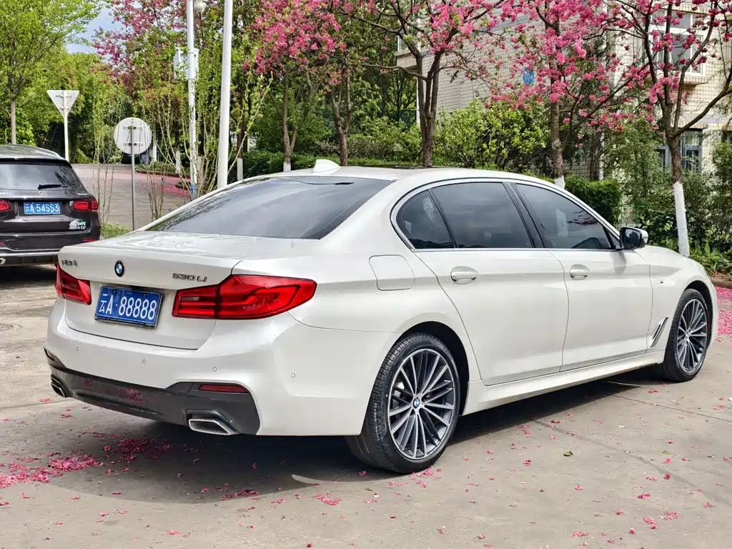 BMW 5 Series 5 2020 530Li Premium M Sport