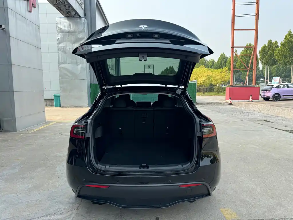 Tesla Model Y — миниатюра 12