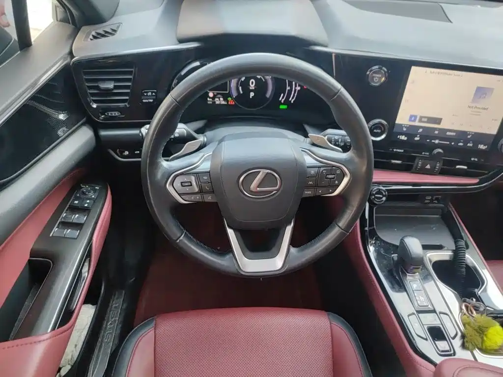 Lexus NX — миниатюра 11
