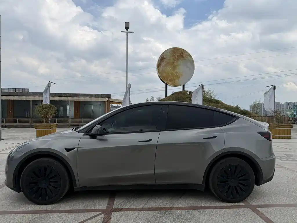 Tesla Model Y — миниатюра 5