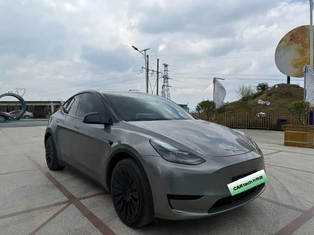 Tesla Model Y — миниатюра 2