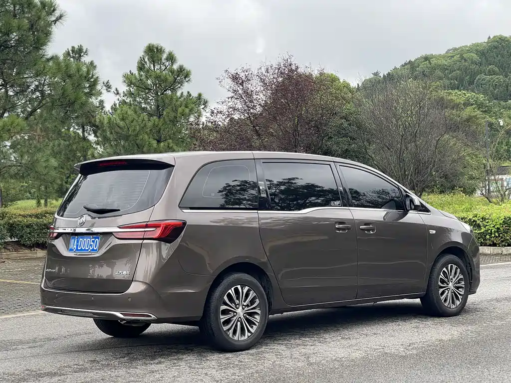 Buick GL8 — миниатюра 25