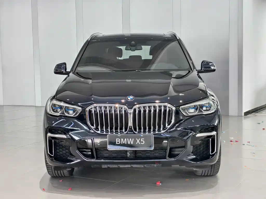 BMW X5 — миниатюра 2