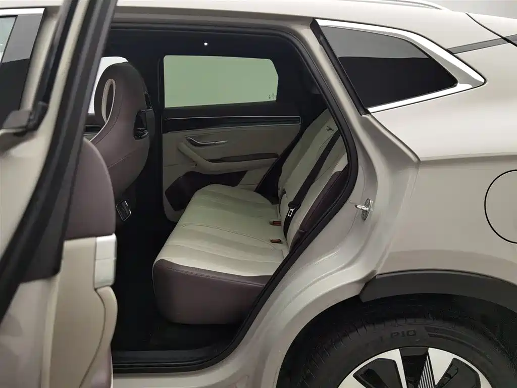 BYD SONGJIANG NEW ENERGY