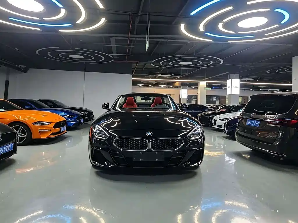 BMW Z4 — миниатюра 2