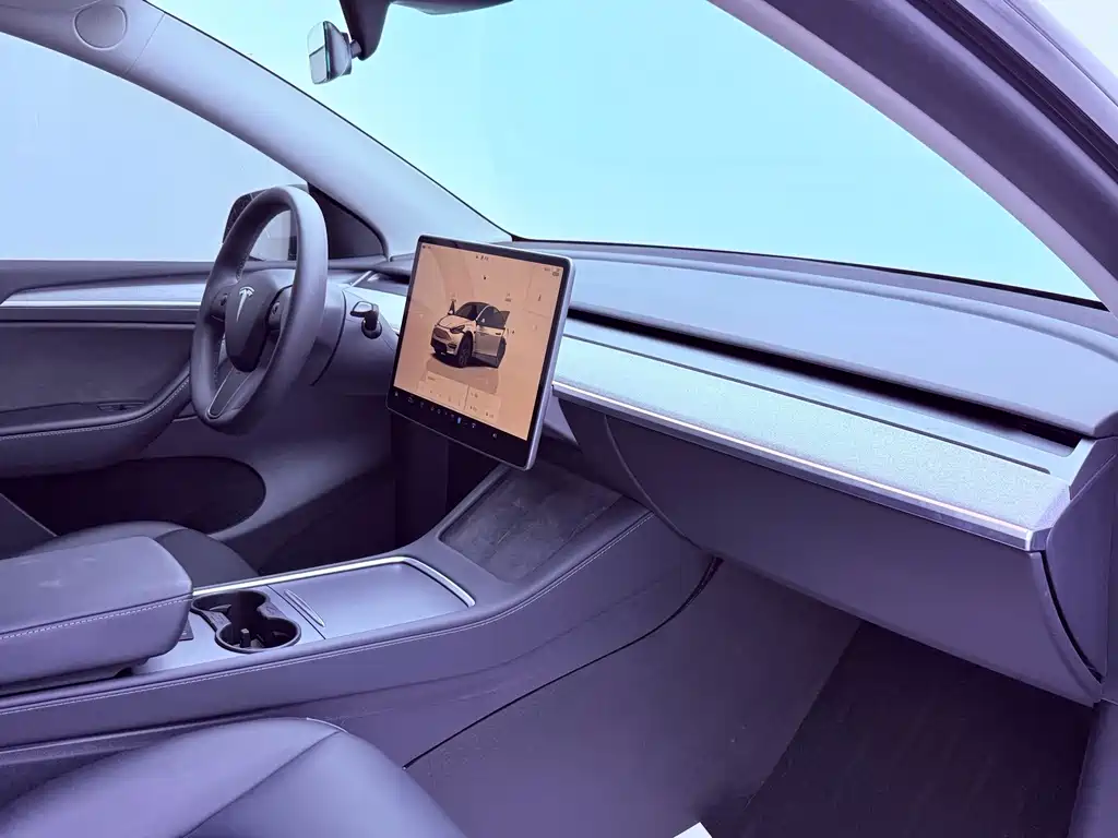 Tesla Model Y — миниатюра 20