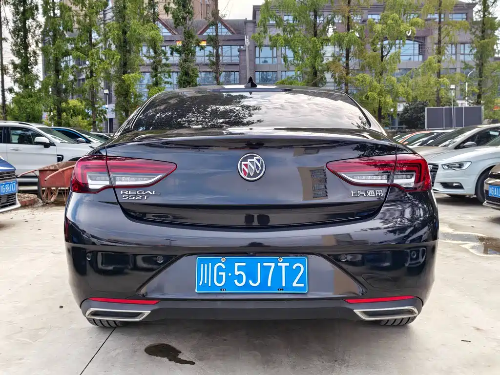 Buick Regal — миниатюра 12