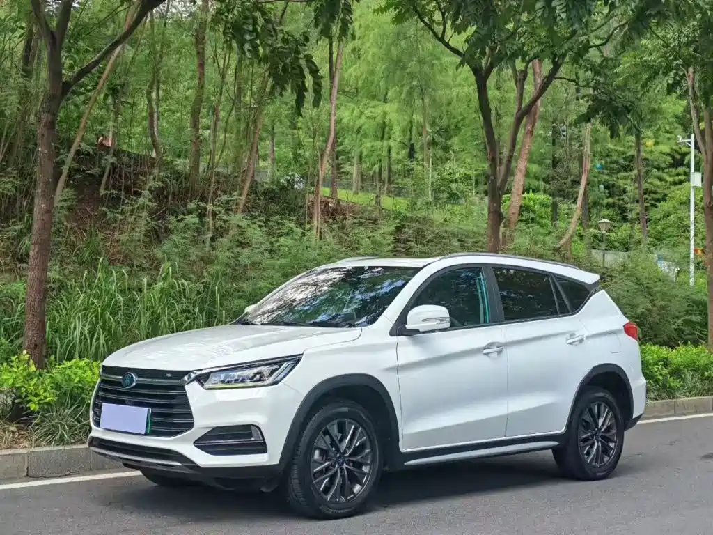 BYD New Energy
