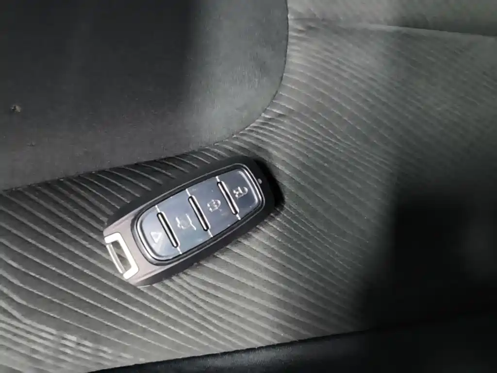 Venucia D60 EV — миниатюра 9