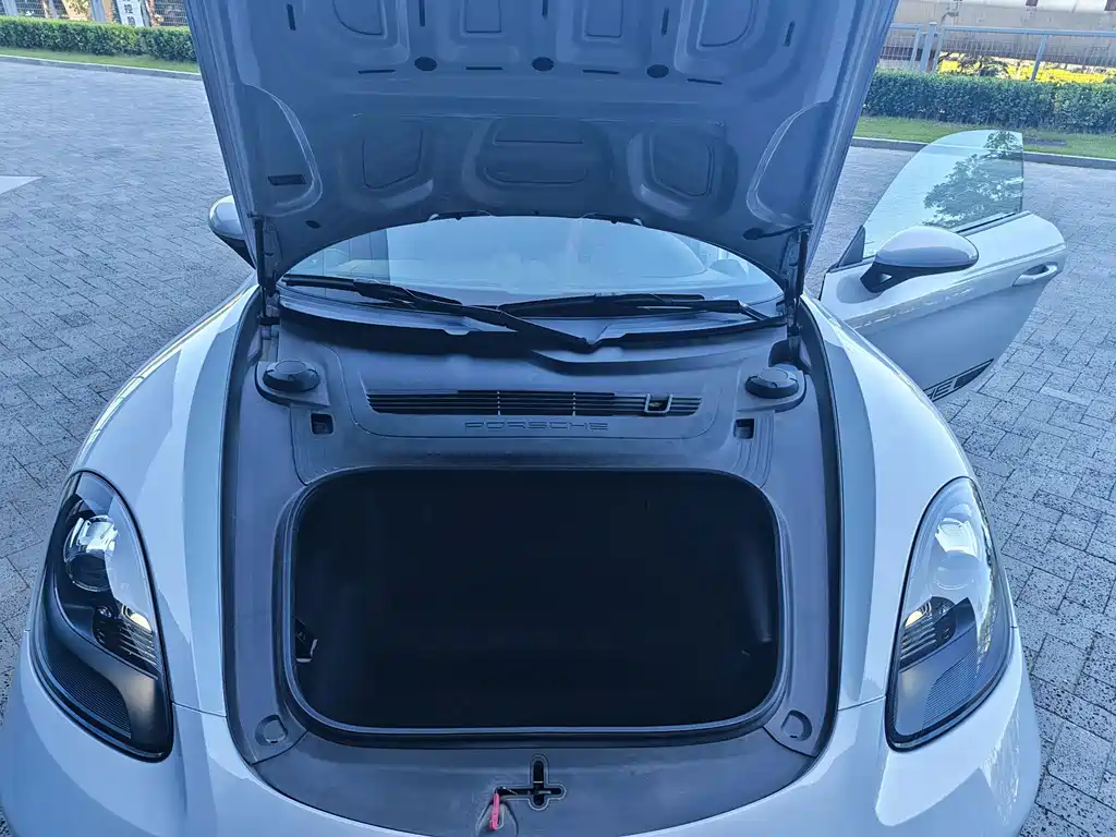 Porsche 718 — миниатюра 22