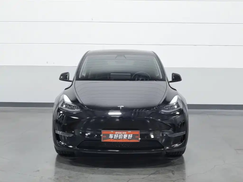 Tesla Model Y — миниатюра 3
