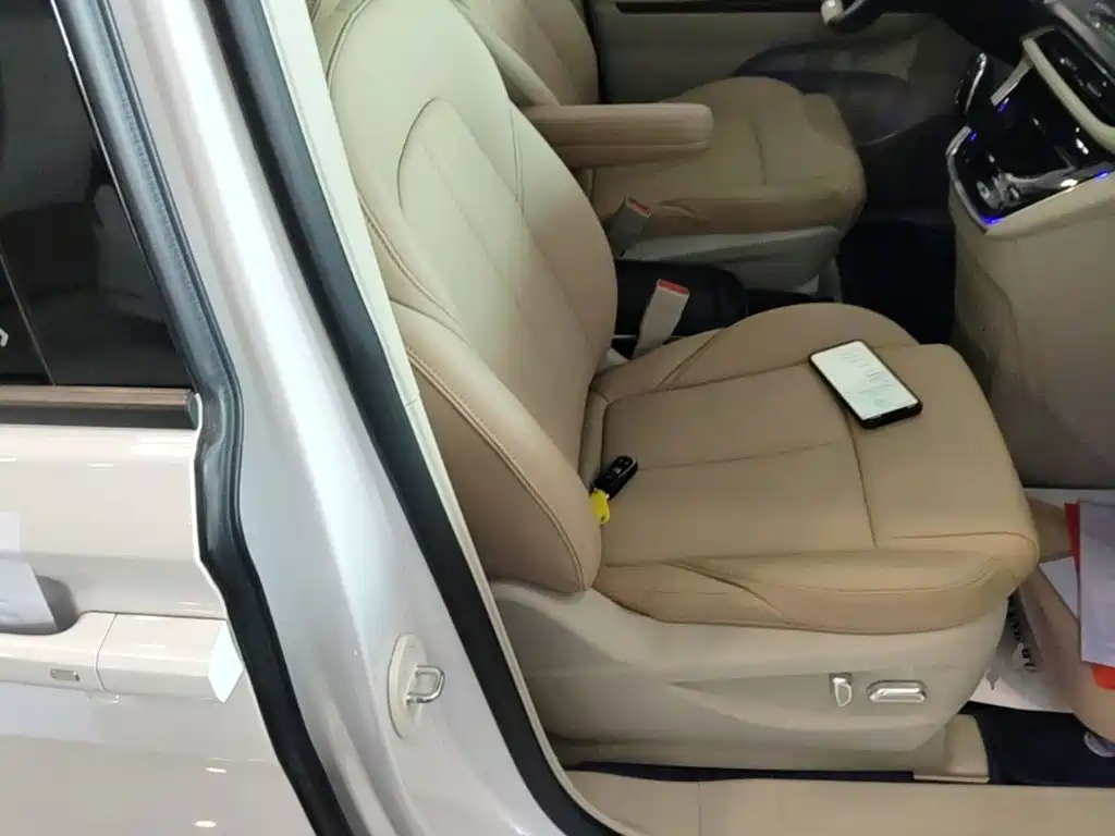 Buick GL8 — миниатюра 25