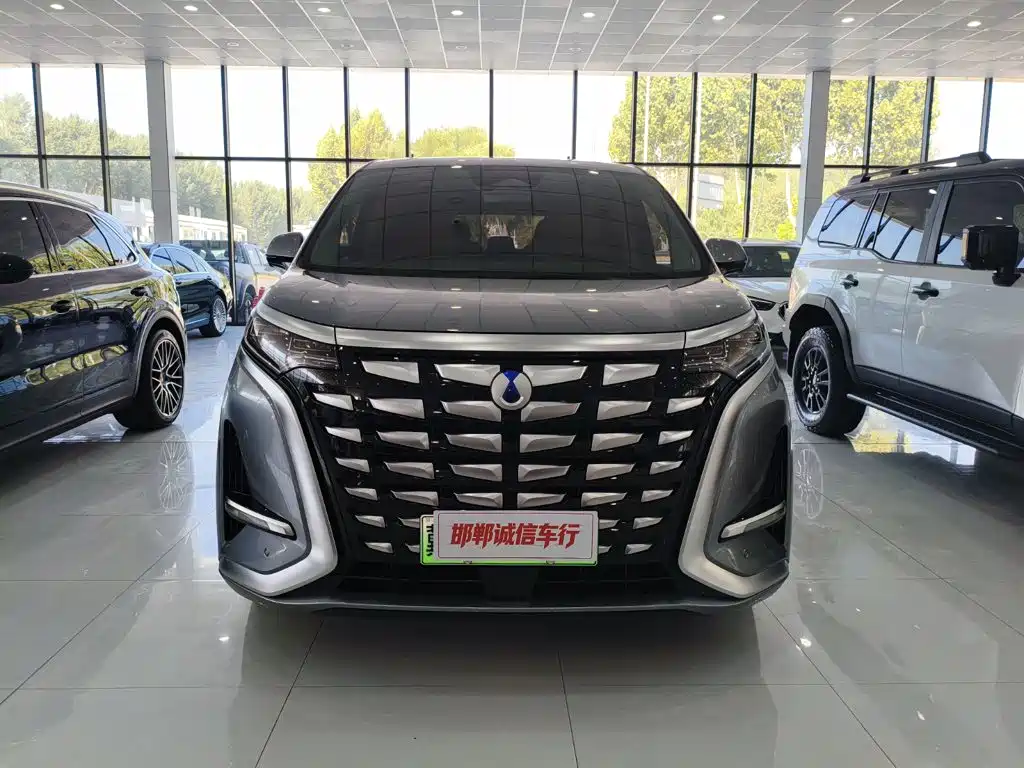 Denza Denza D9 — миниатюра 2