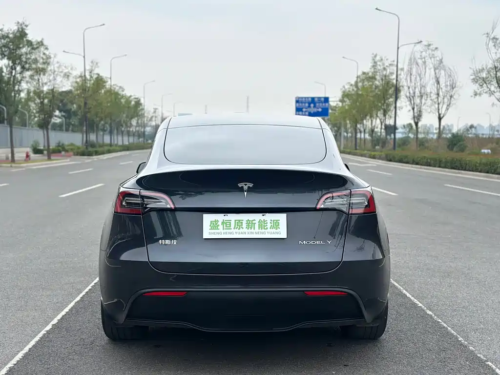 Tesla Model Y — миниатюра 16