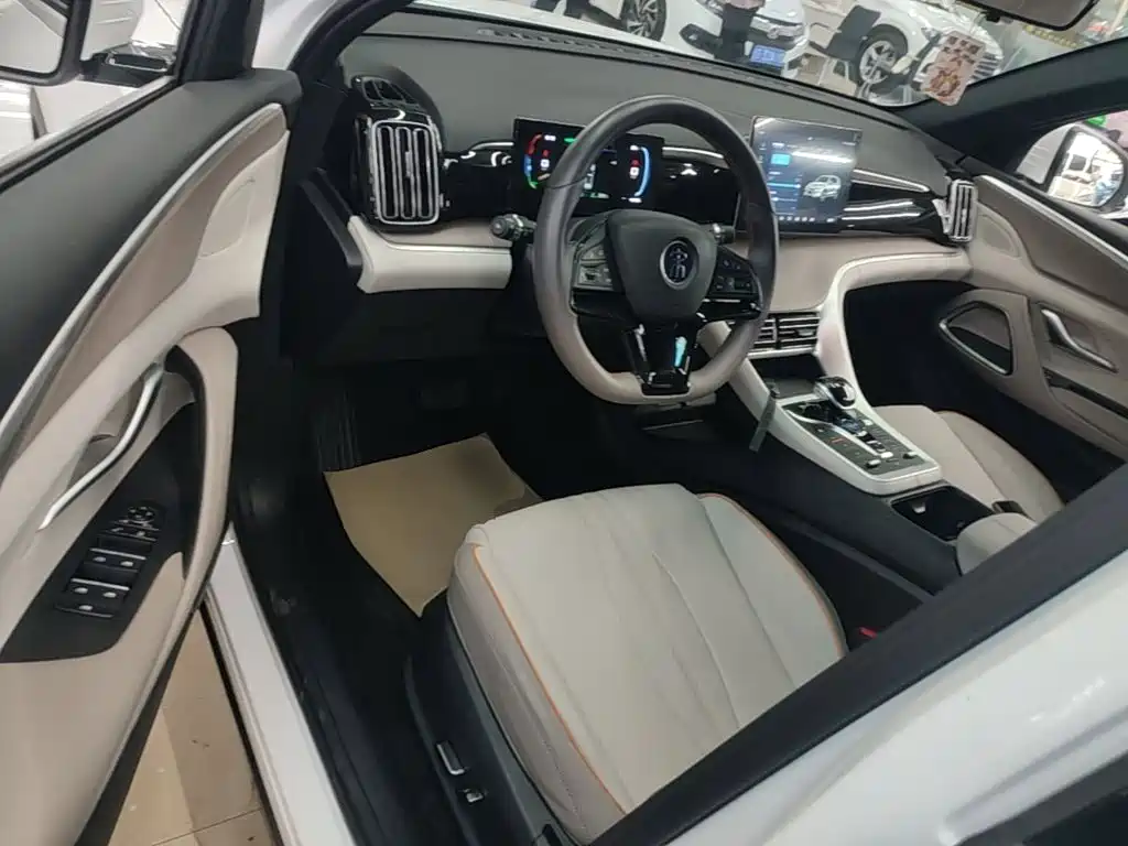BYD Pro New Energy — миниатюра 16