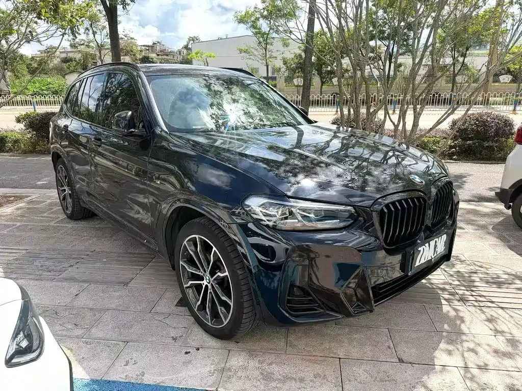 BMW X3 — миниатюра 2