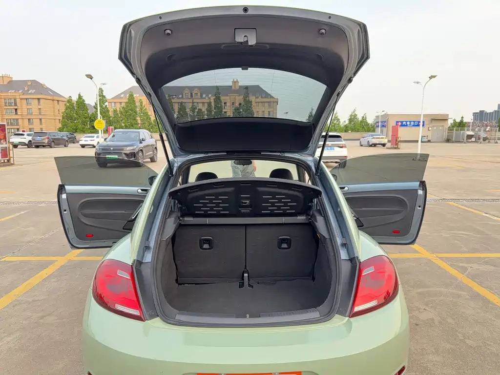 Volkswagen Beetle — миниатюра 13