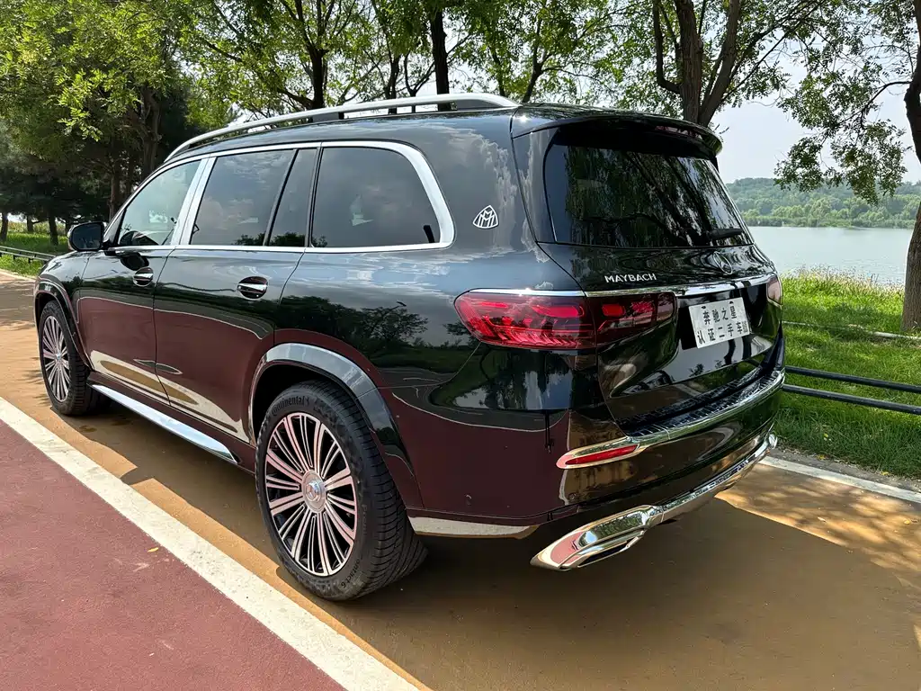 Mercedes-Benz GLS — миниатюра 5