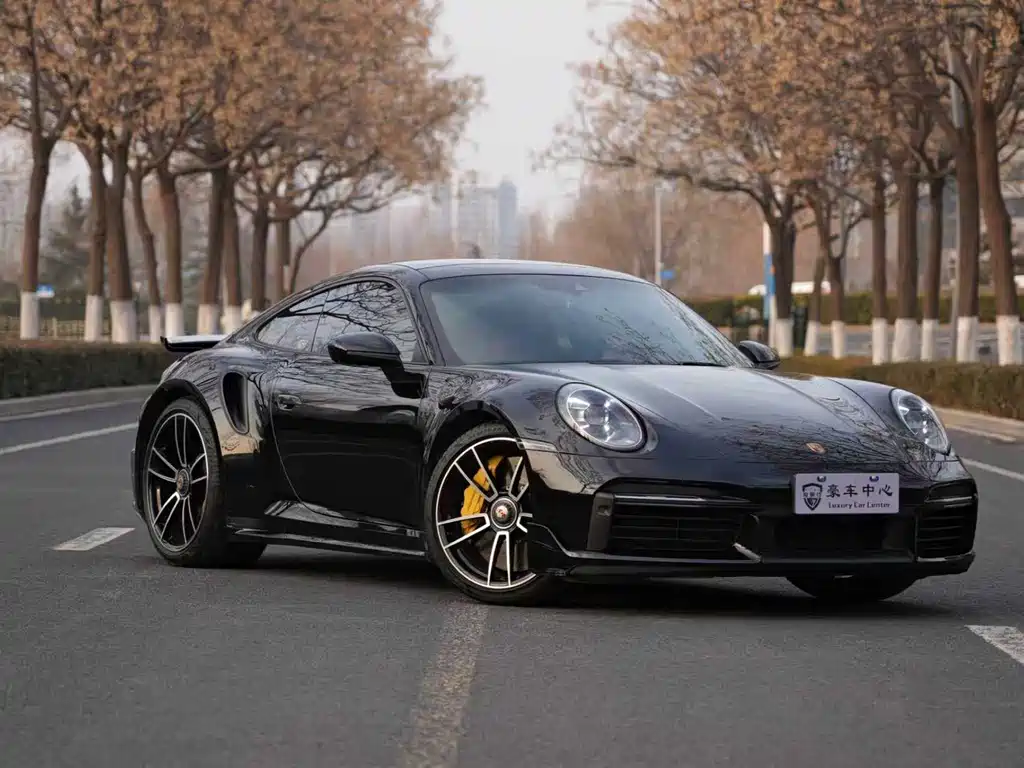Porsche 911 — миниатюра 3