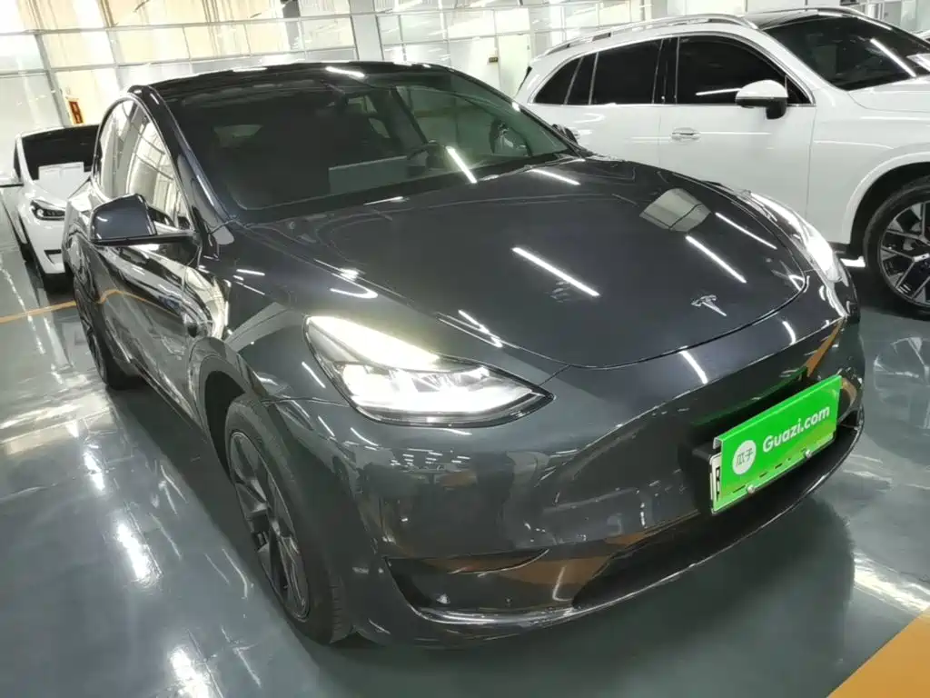 Tesla Model Y — миниатюра 4