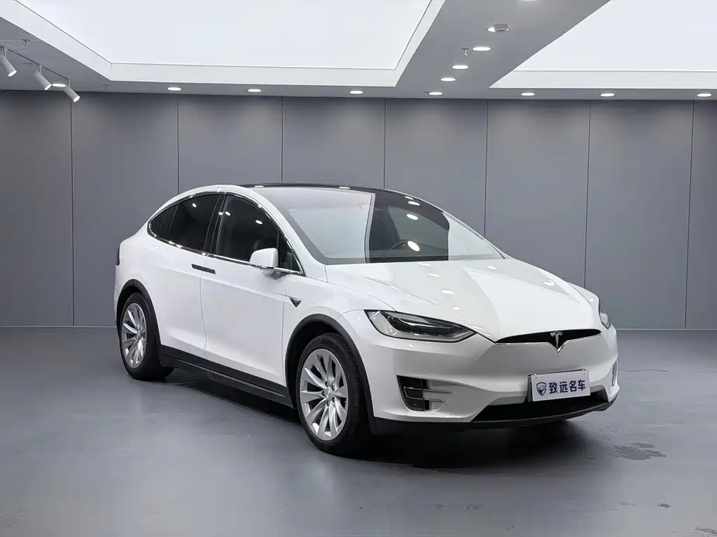 Tesla Model X — миниатюра 3
