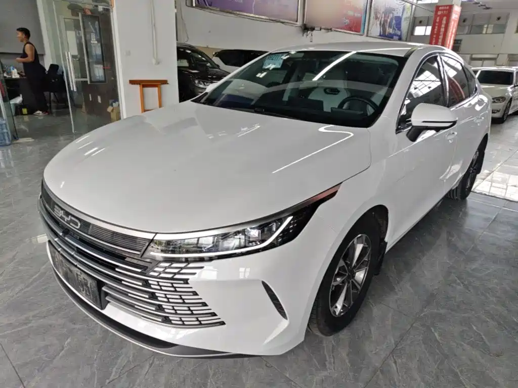 BYD Destroyer 05 — миниатюра 2