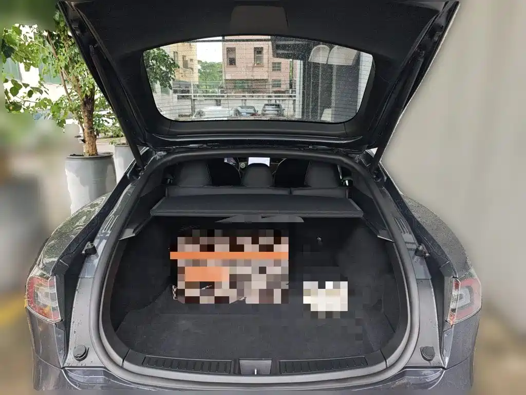Tesla Model S — миниатюра 10
