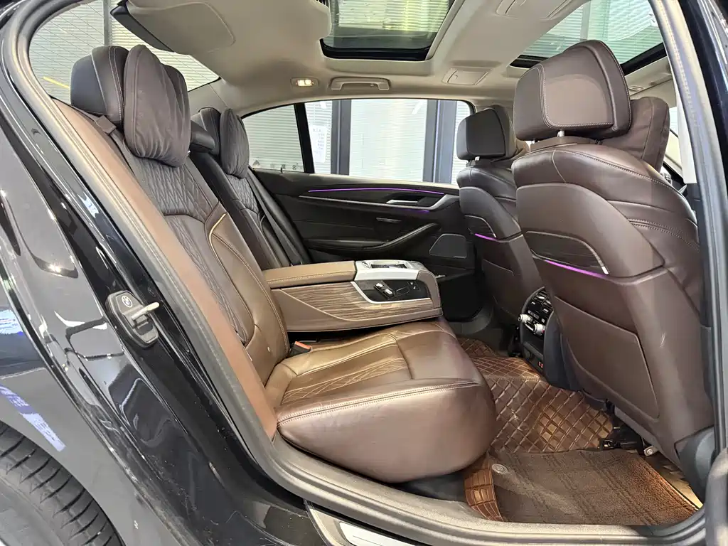 BMW 5 Series 5 2020 530Li Premium Luxury