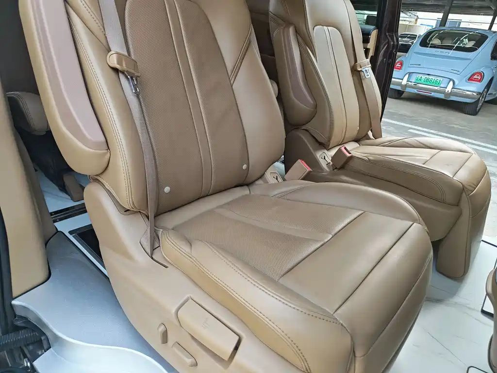 Buick GL8 2018 ES 28T Luxury VI