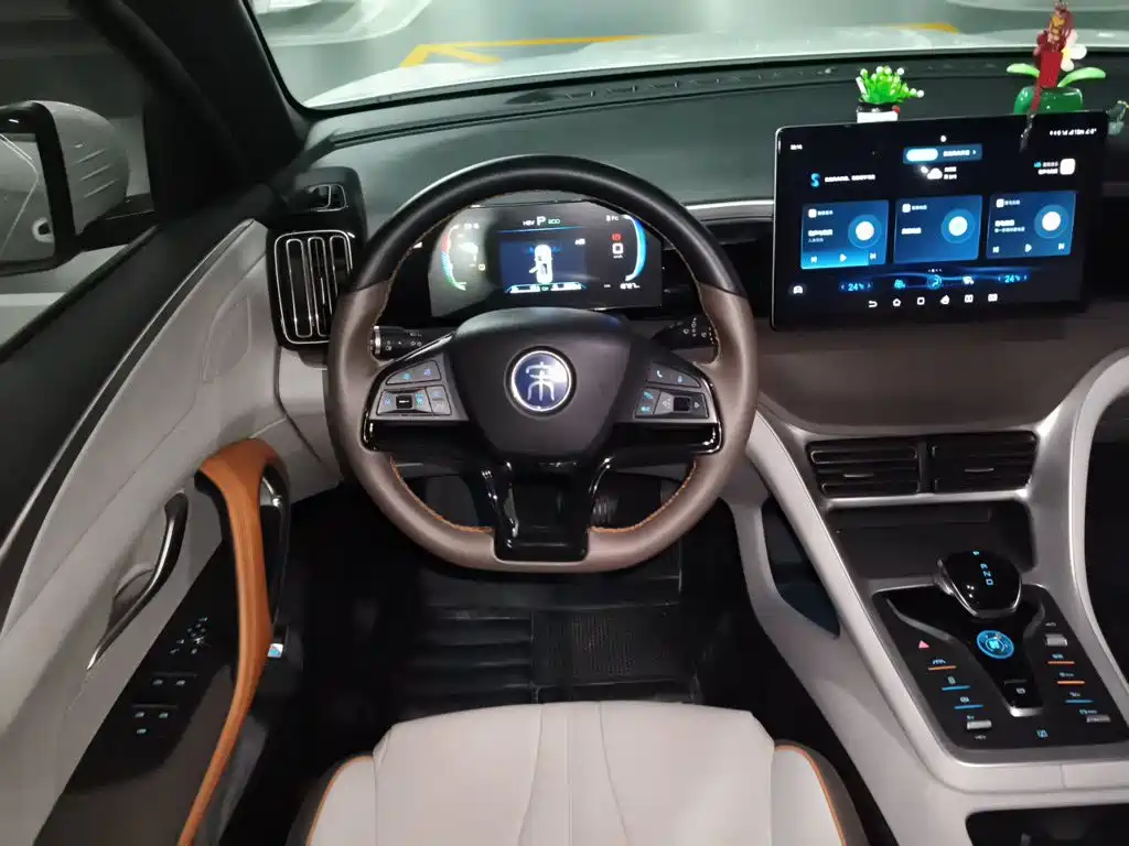 BYD Pro New Energy — миниатюра 11