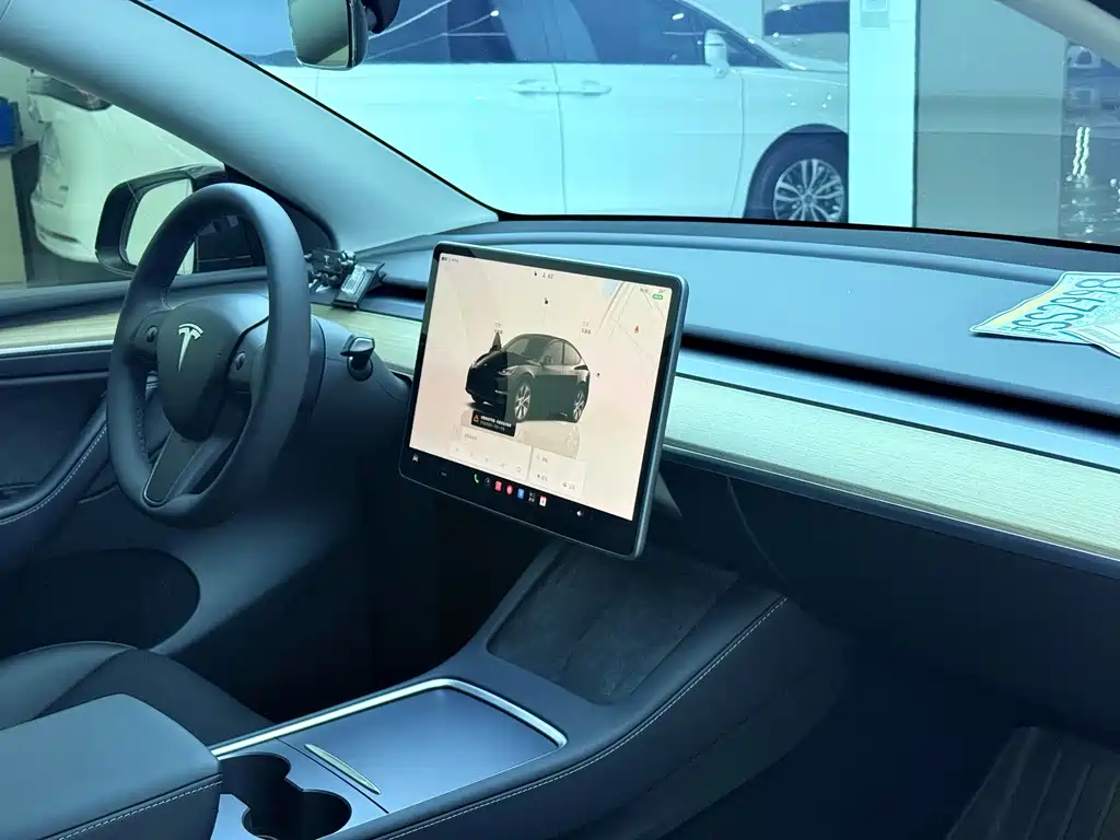 Tesla Model Y — миниатюра 6