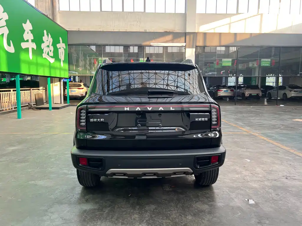 Haval Big Dog — миниатюра 9