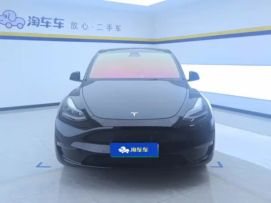 Tesla Model Y — миниатюра 2
